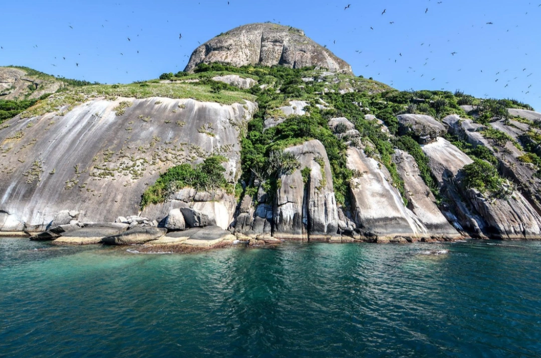 Paredões rochosos e vegetação do arquipélago.