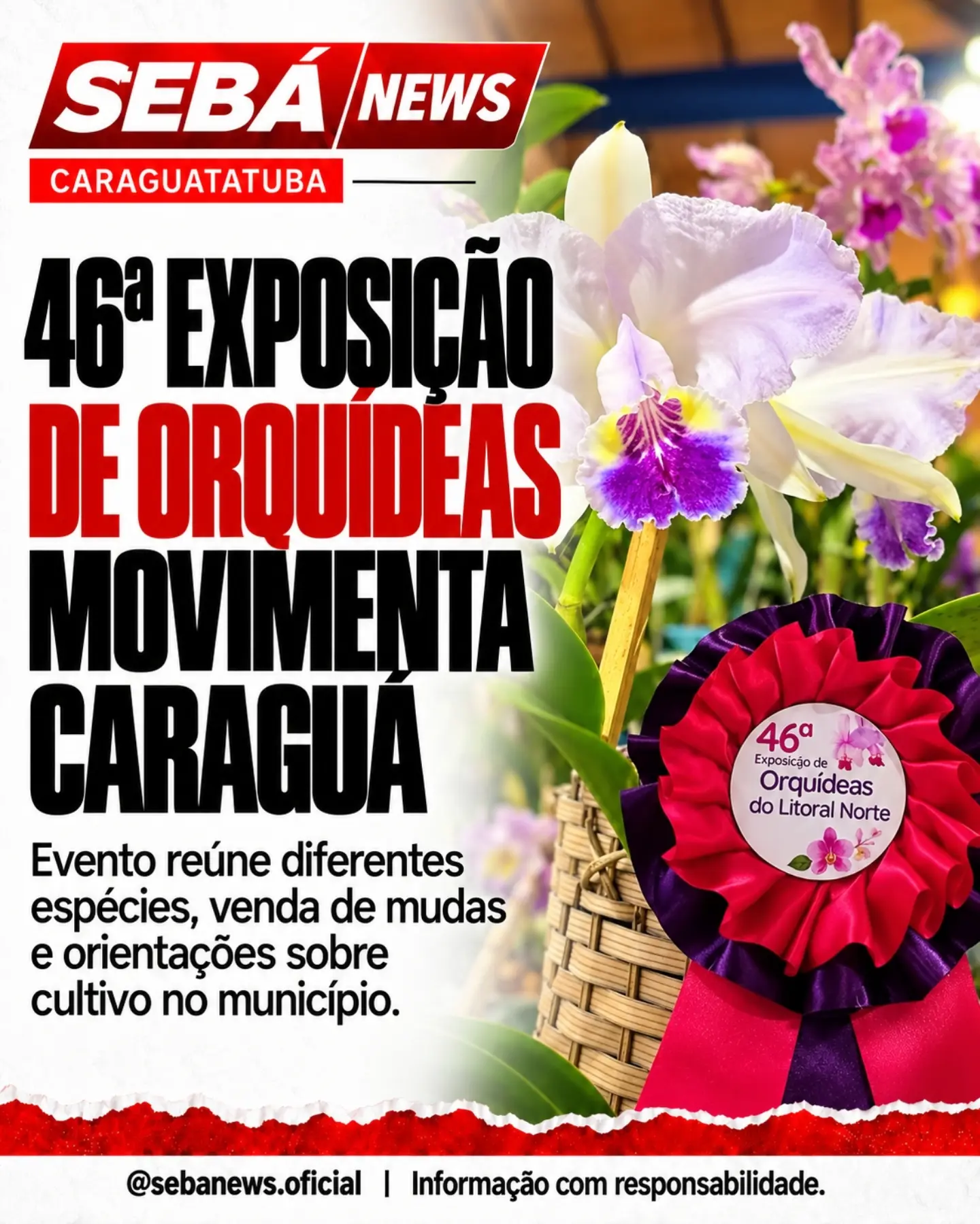 46ª Exposição de Orquídeas movimenta Caraguá neste fim de semana